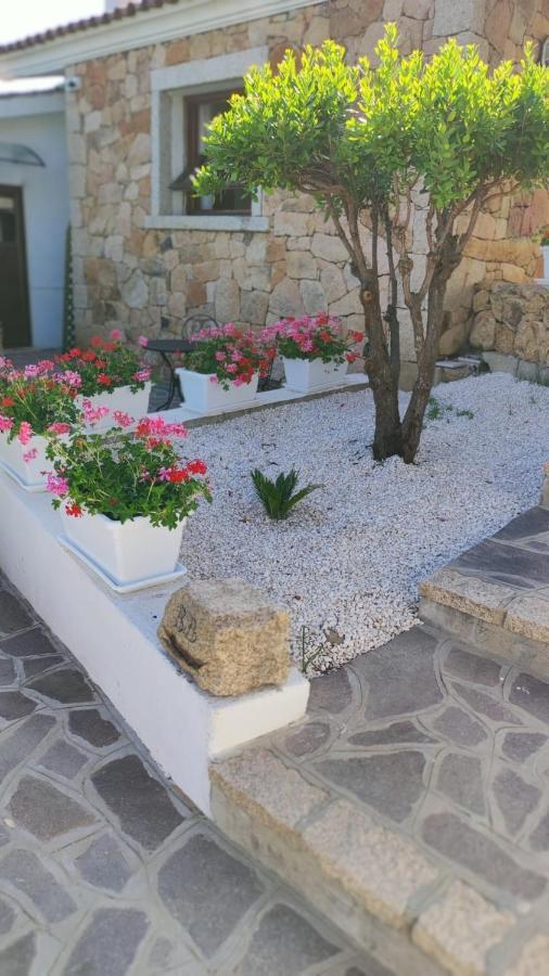 Casa L'Ulivariu Affittacamere San Teodoro  Kültér fotó